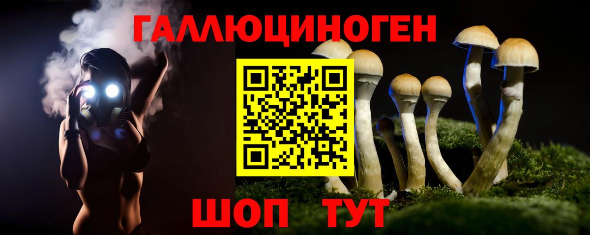 Псилоцибиновые грибы Cubensis Приморско-Ахтарск