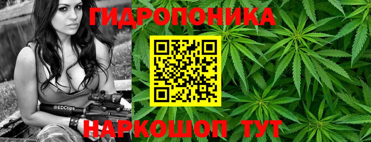 Бошки Шишки AK-47  Бошки марихуана SATIVA & INDICA  Приморско-Ахтарск  Вход с VPN  Бошки марихуана марихуана 